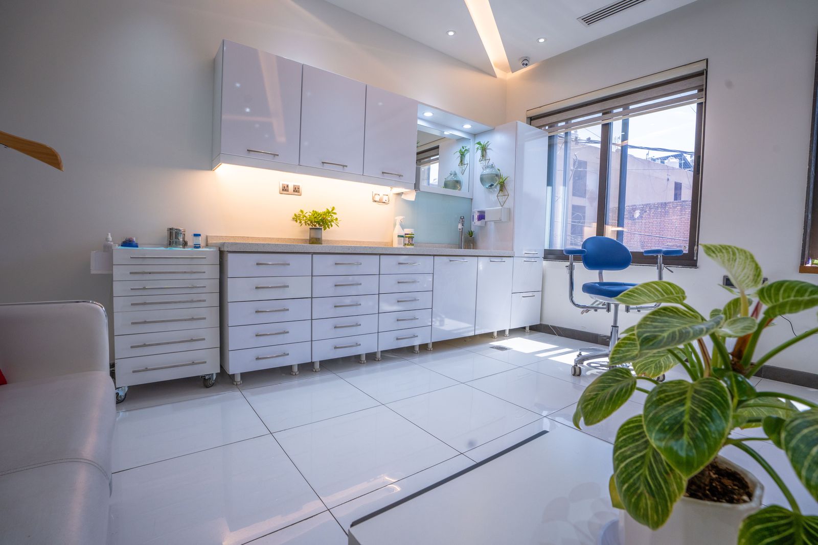 White cabinetry in the Center, with a potted plant by the window
